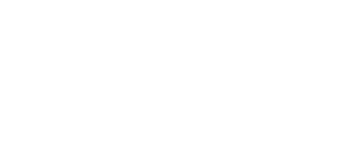 ELSEE